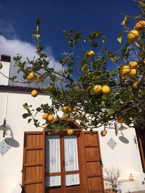 Uliveto House Bed & Breakfast Castellammare del Golfo Exterior photo
